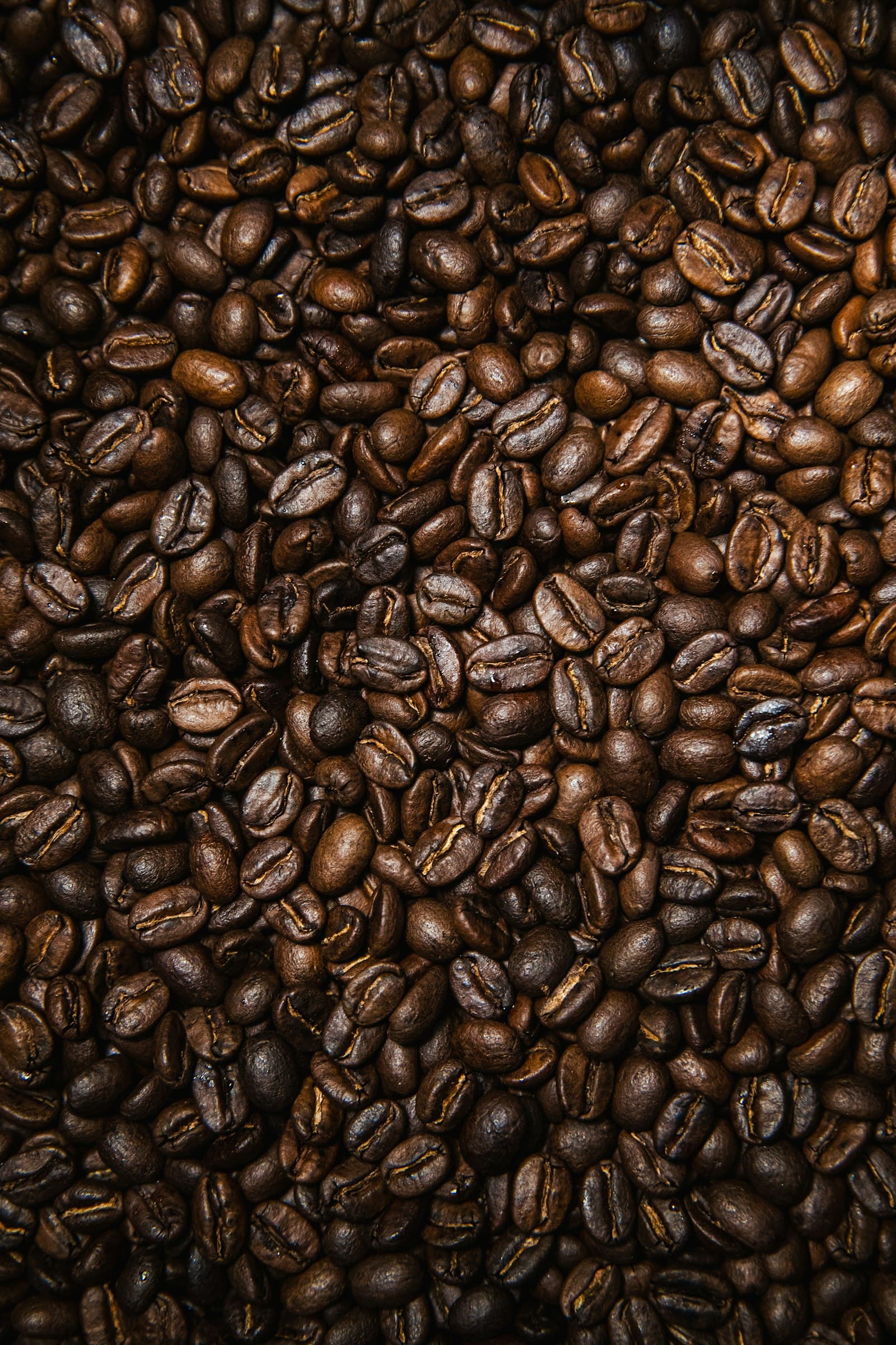Desayuno