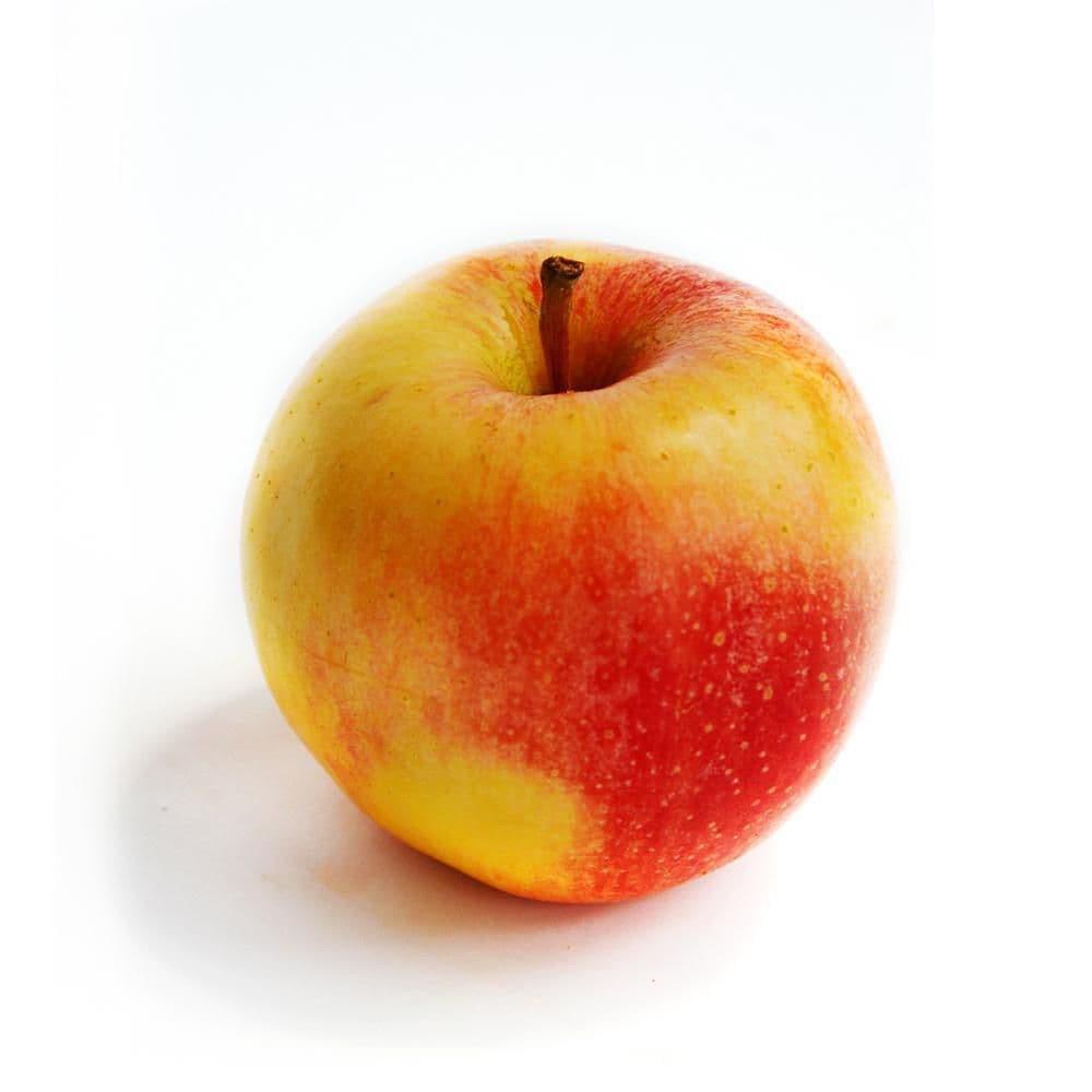 Manzana Gala   1  und