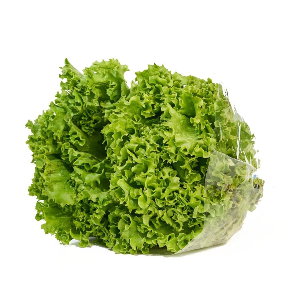LECHUGA VERDE CRESPA HIDROP  170  gr