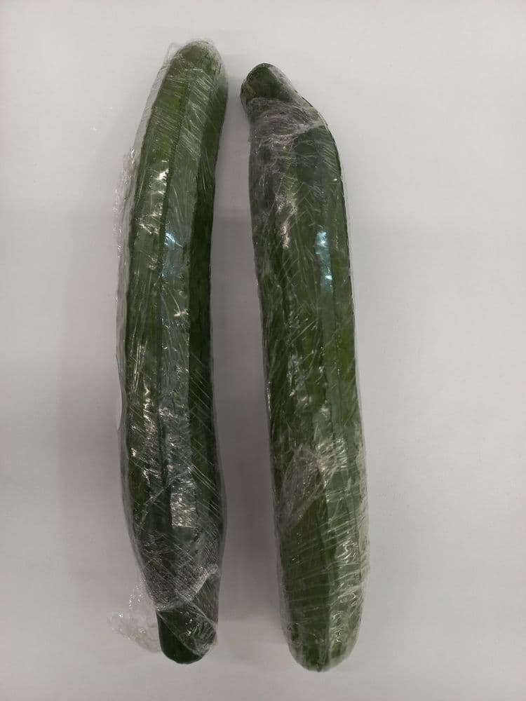 Pepino Europeo Unid  1  und